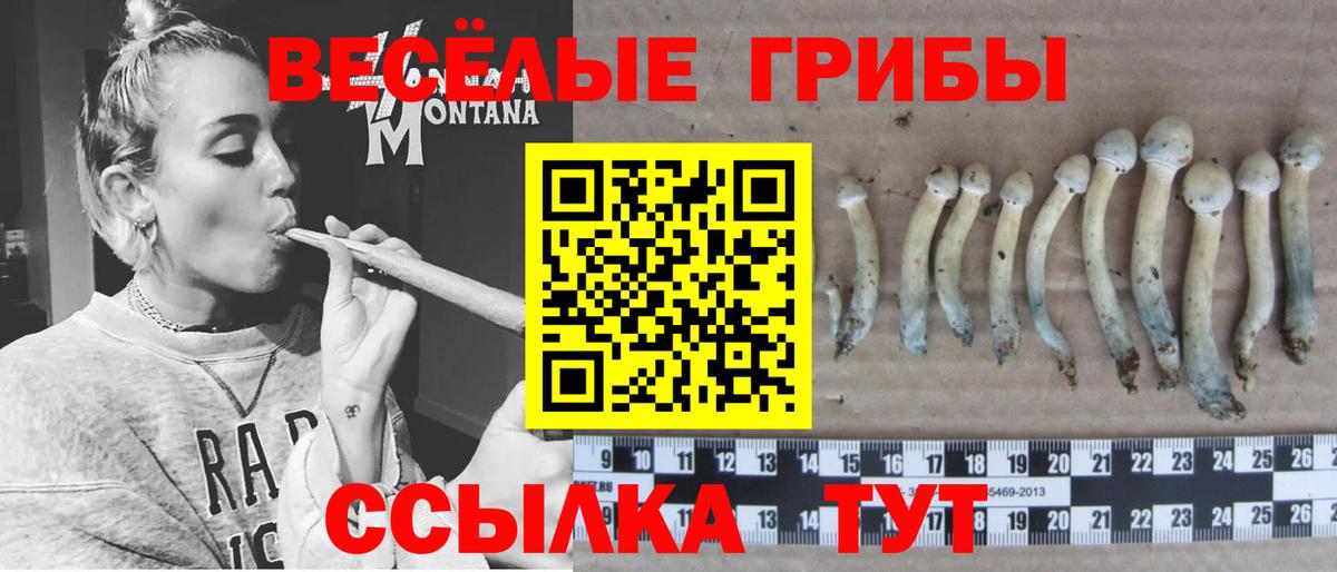 Псилоцибиновые грибы GOLDEN TEACHER Кумертау